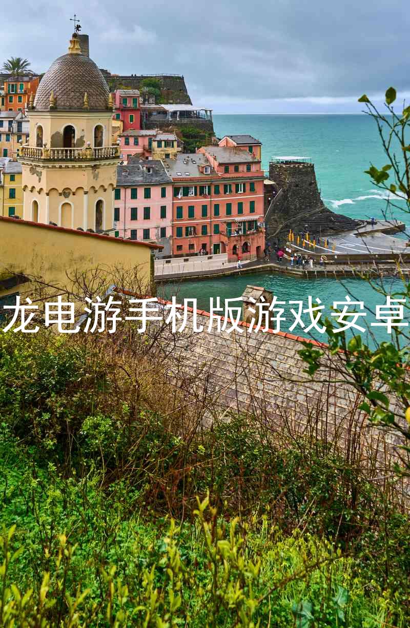 尊龙电游手机版游戏安卓版