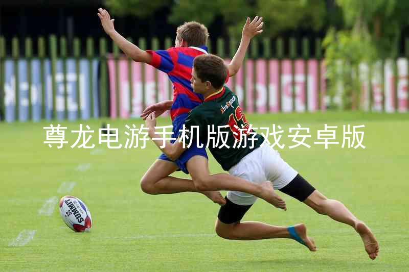 尊龙电游手机版游戏安卓版